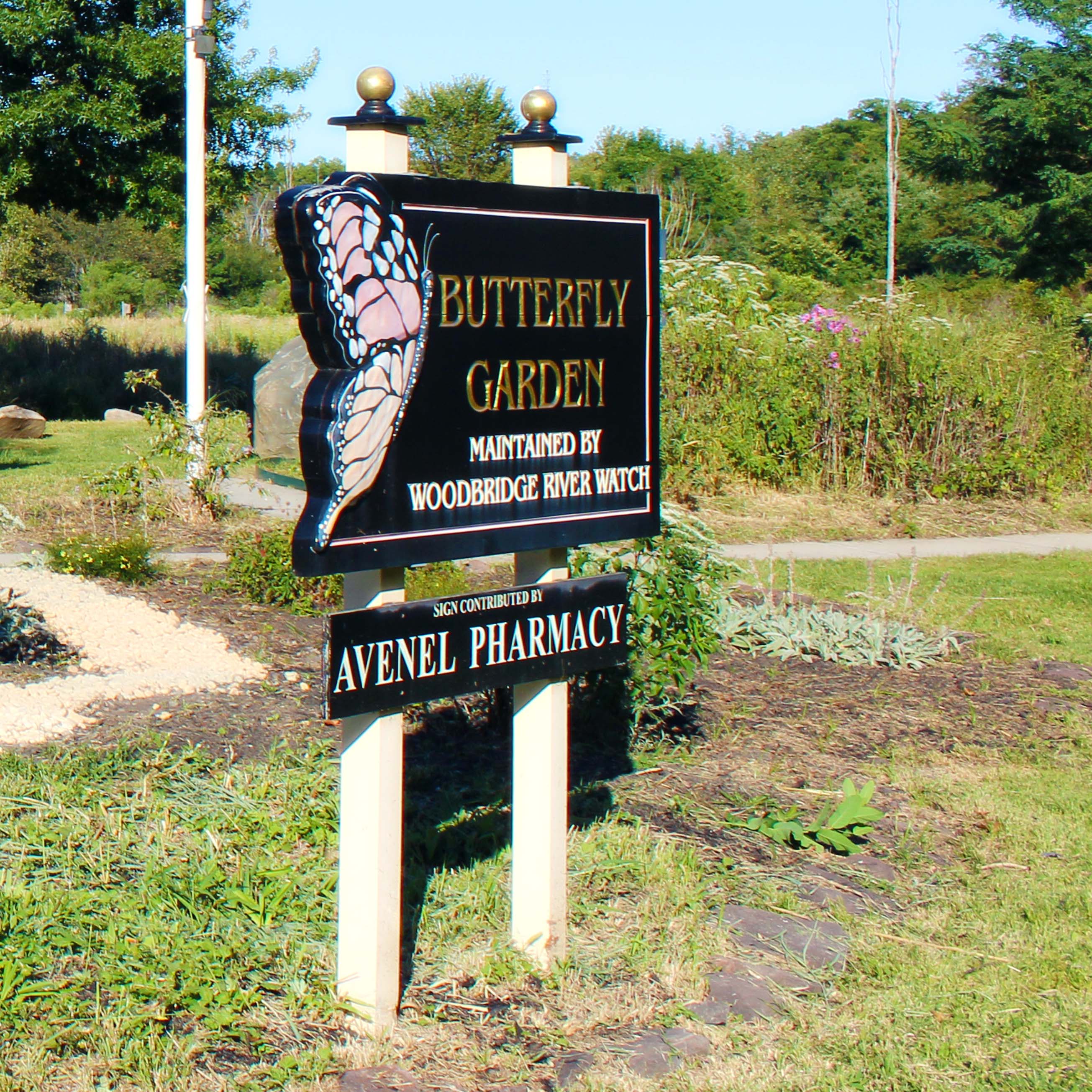 Butterfly Park Avenel 6