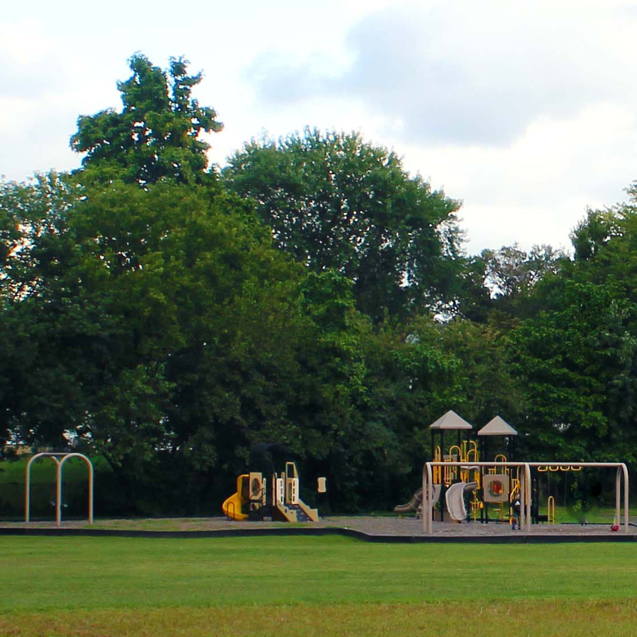 Quigley Park Fords 1