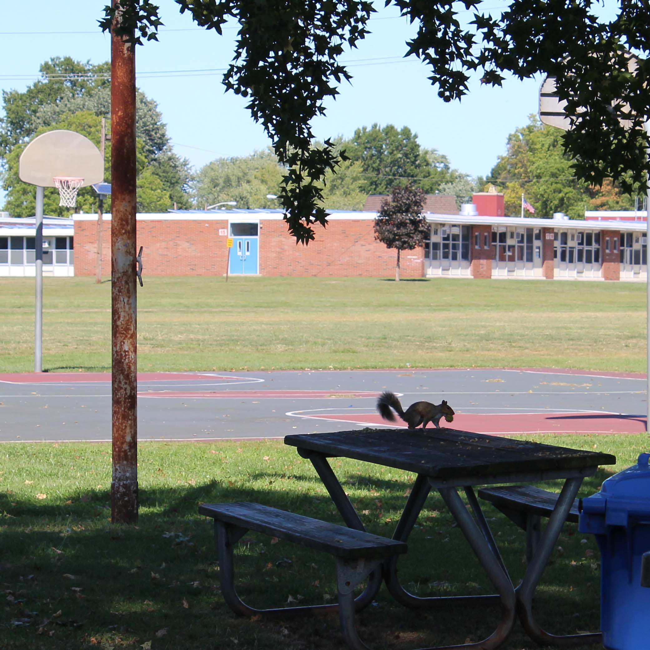 4th Street Park PR 1