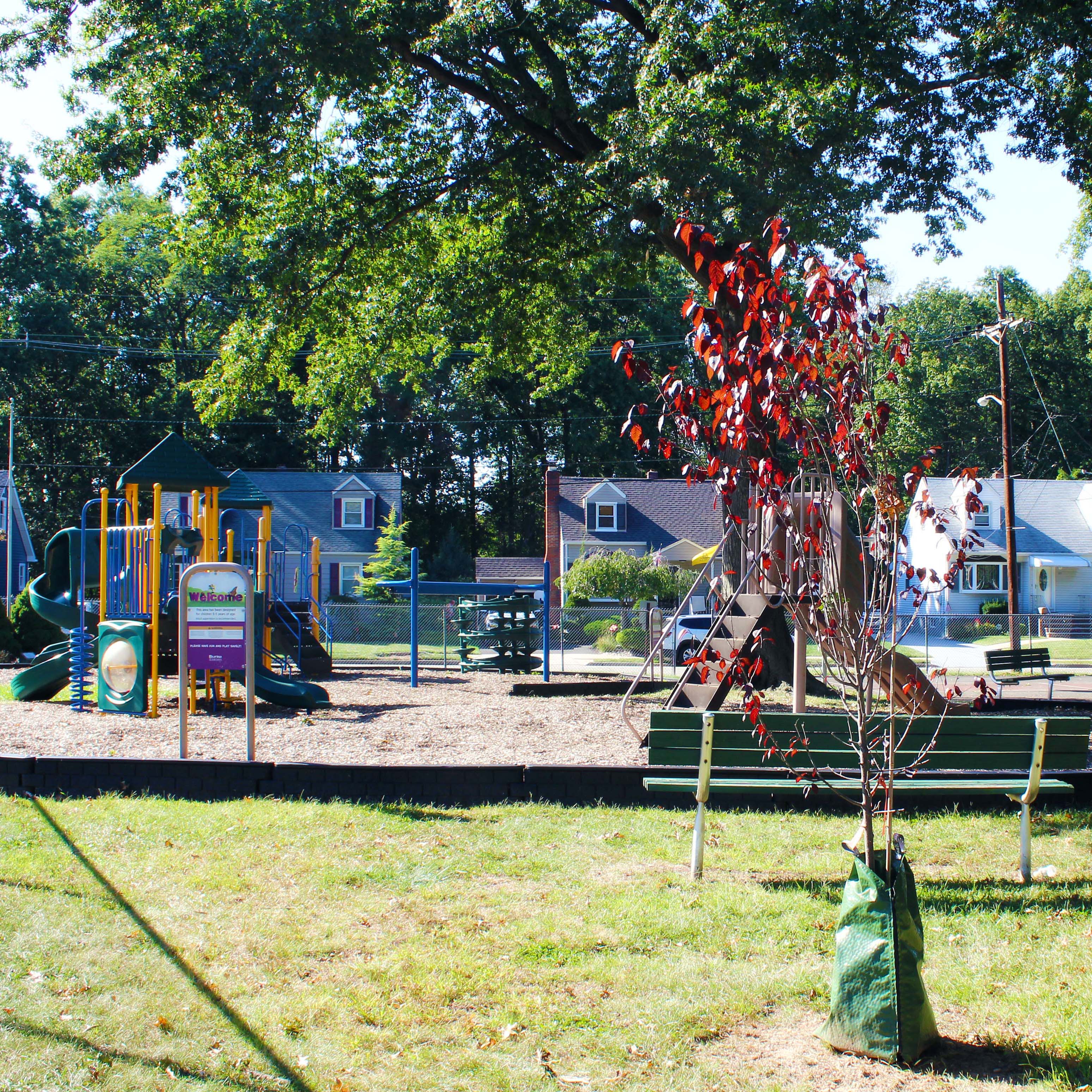 Lyman Ave. Playground Woodbridge 1