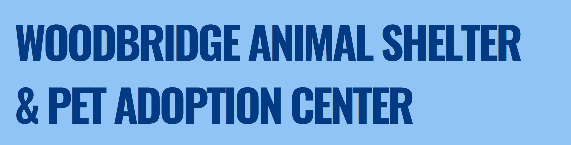 Homepage Headline Banner animal