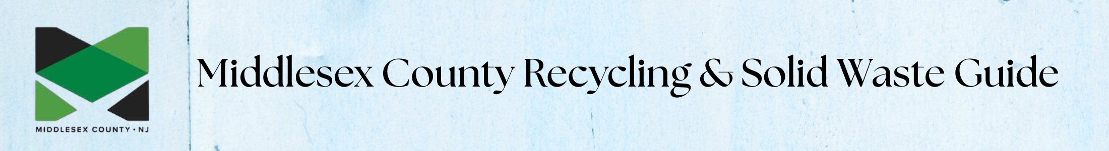 Website Header (2200 x 300 px) (2)