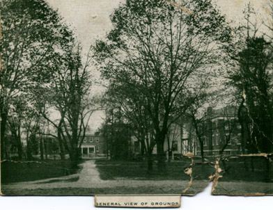 Fig 9 21-095 Fig9_Johnstone_NJSA